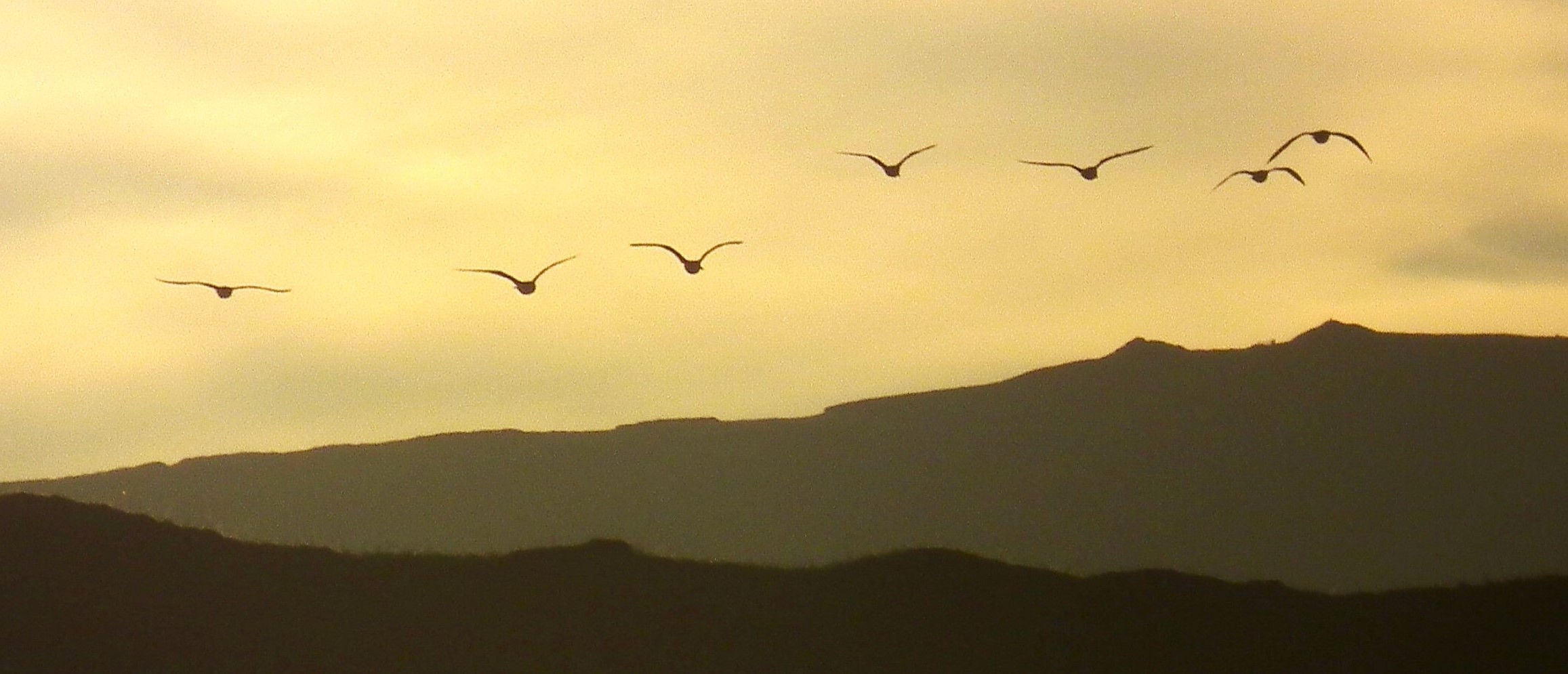 NEARLY HOME Bill Bagley Photography